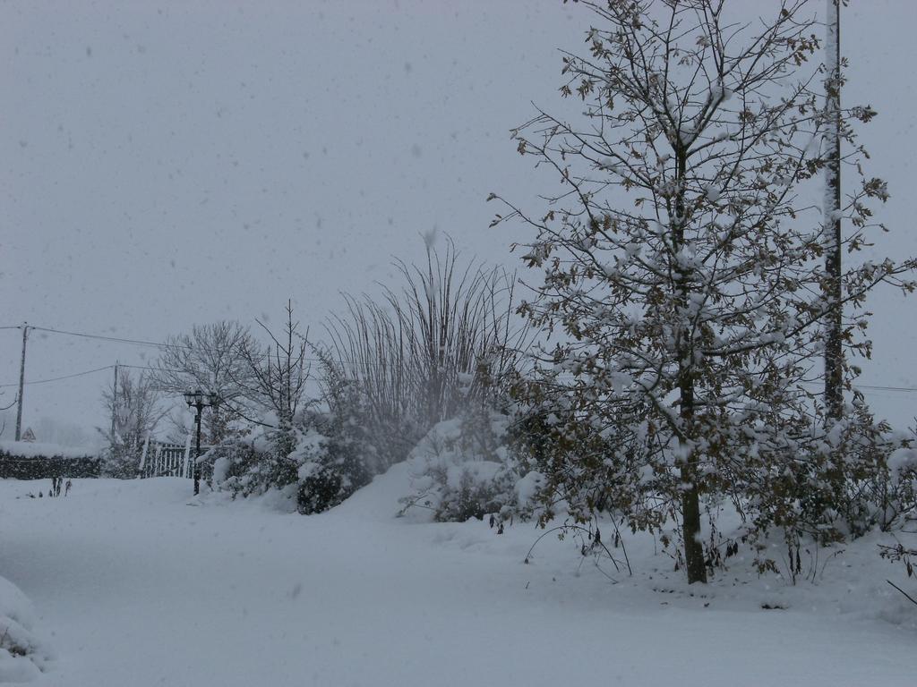 Ker Francozen Renaudiere Roz-sur-Couesnon Exterior foto